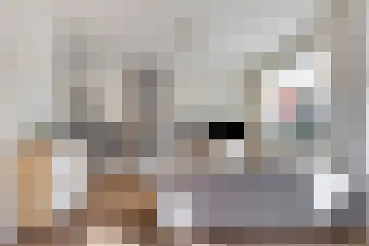 1e Blekerhof 82 D Rotterdam thumbnail 6