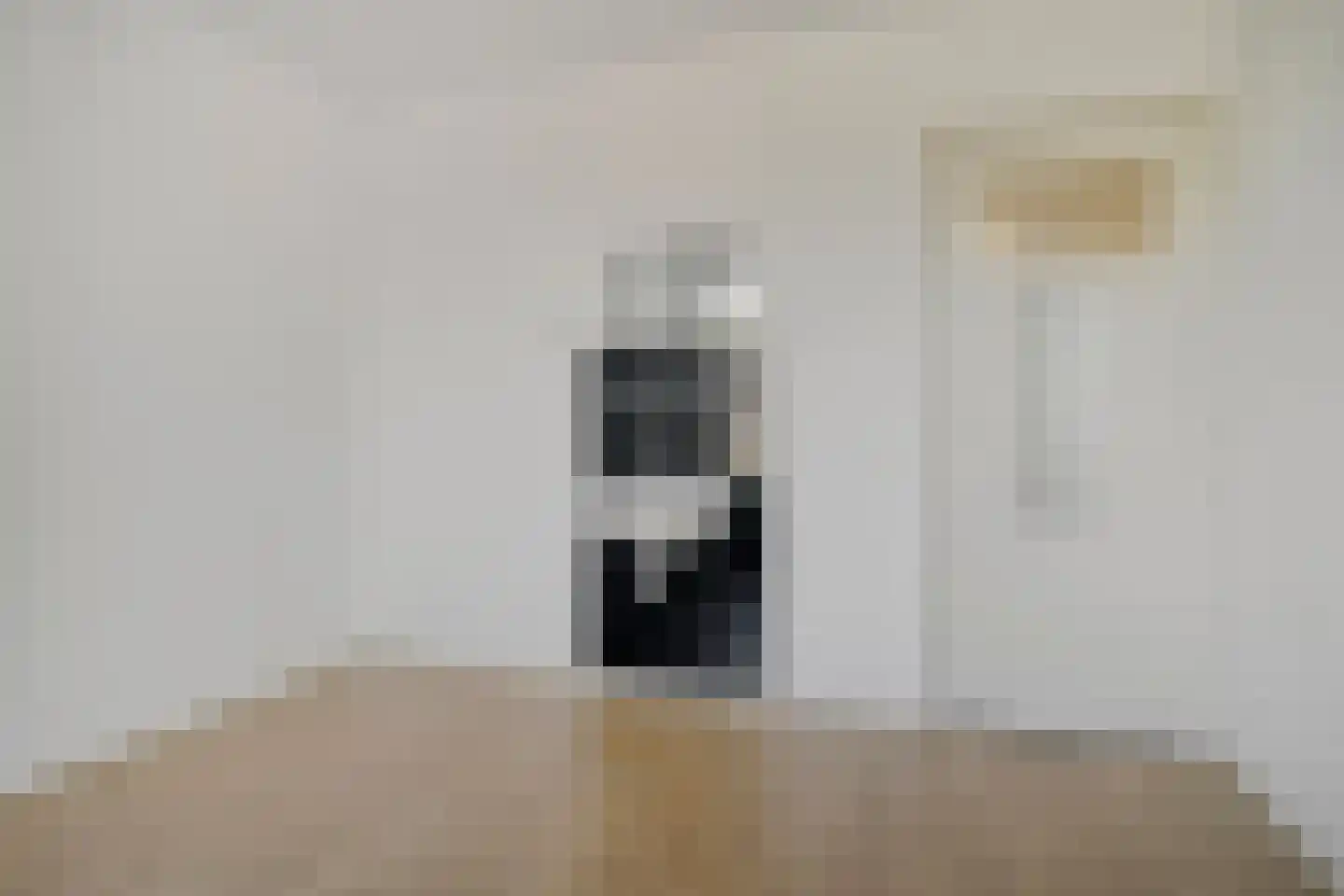 1e Bottelroosstraat 4 Eindhoven thumbnail 21