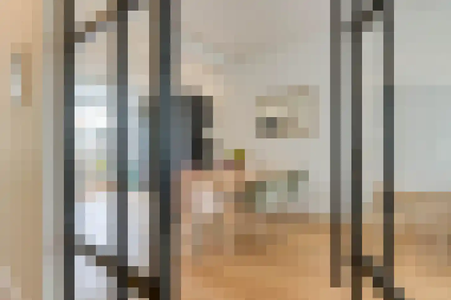 1e Braamstraat 11 Den Haag thumbnail 10