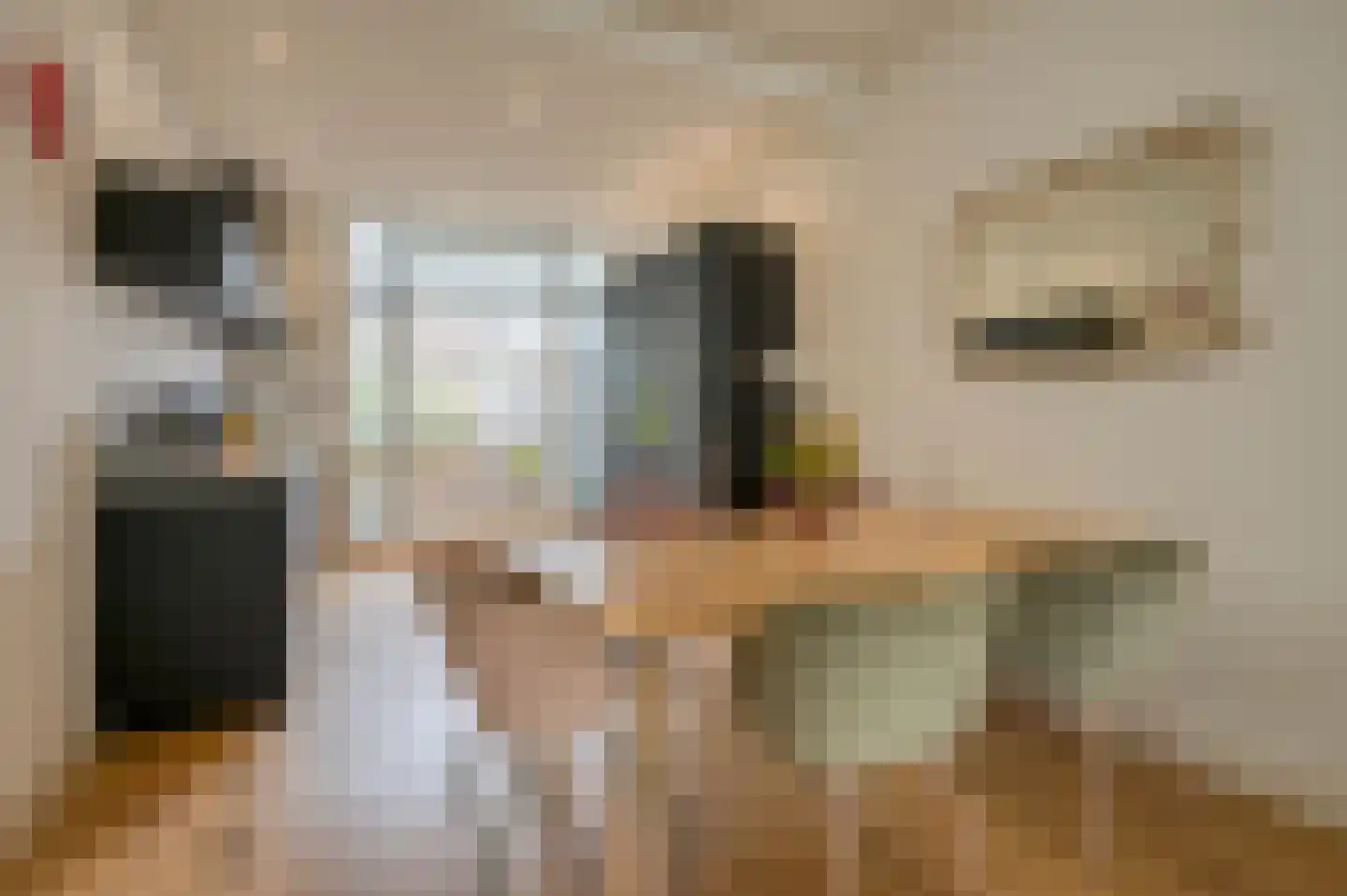 1e Braamstraat 11 Den Haag thumbnail 11