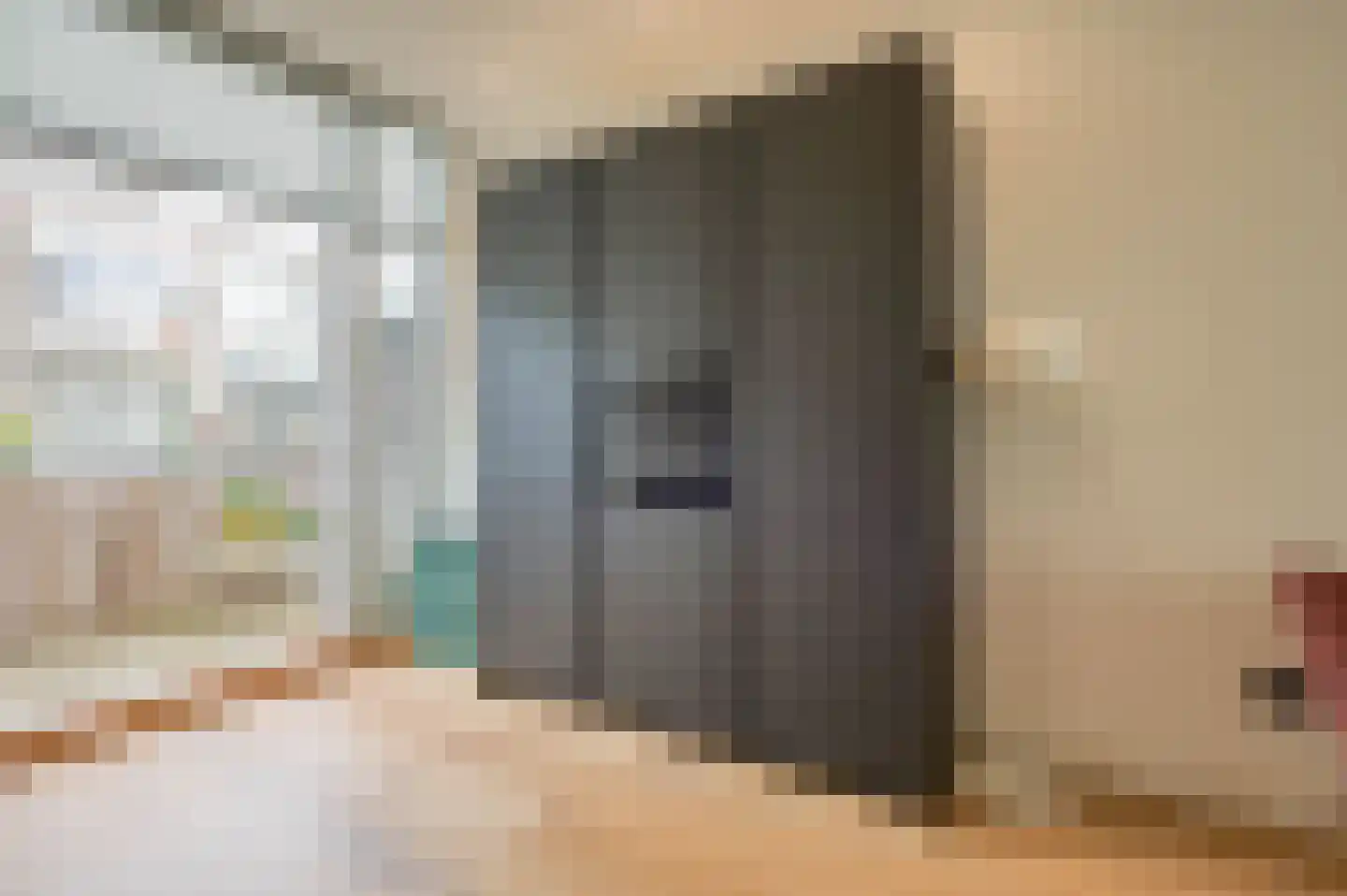 1e Braamstraat 11 Den Haag thumbnail 16