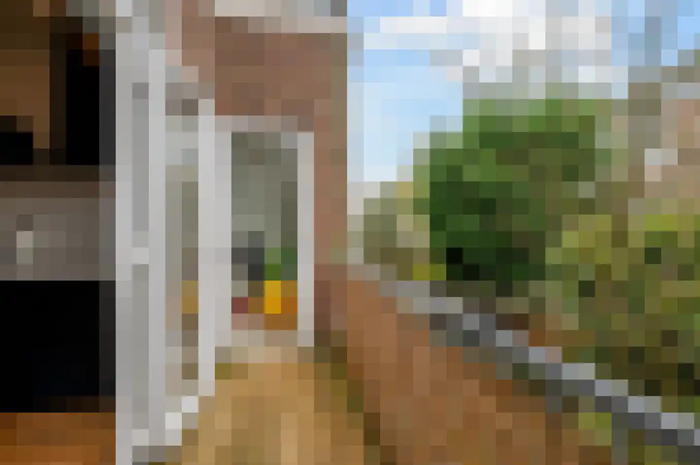 1e Braamstraat 11 Den Haag thumbnail 25
