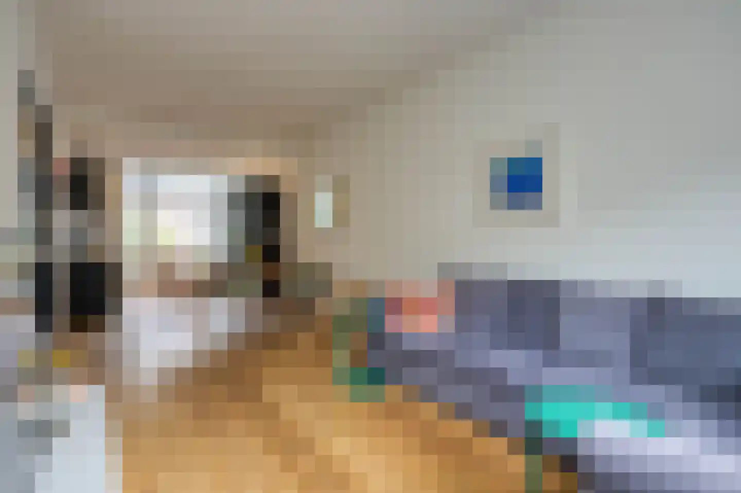 1e Braamstraat 11 Den Haag thumbnail 29