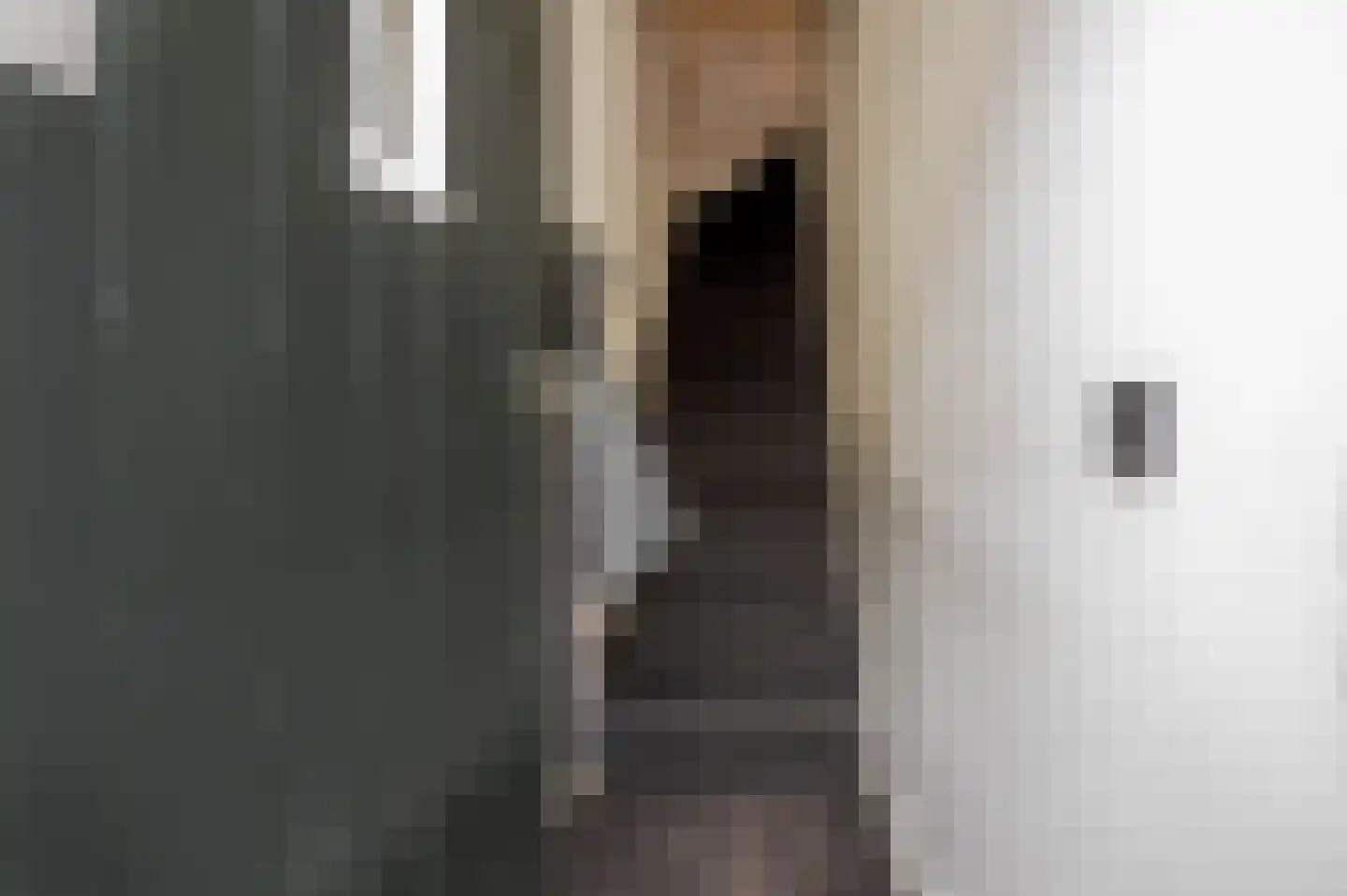 1e Braamstraat 11 Den Haag thumbnail 5