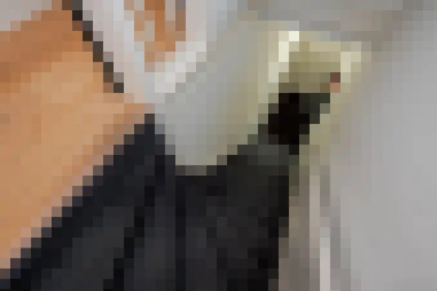 1e Braamstraat 11 Den Haag thumbnail 6