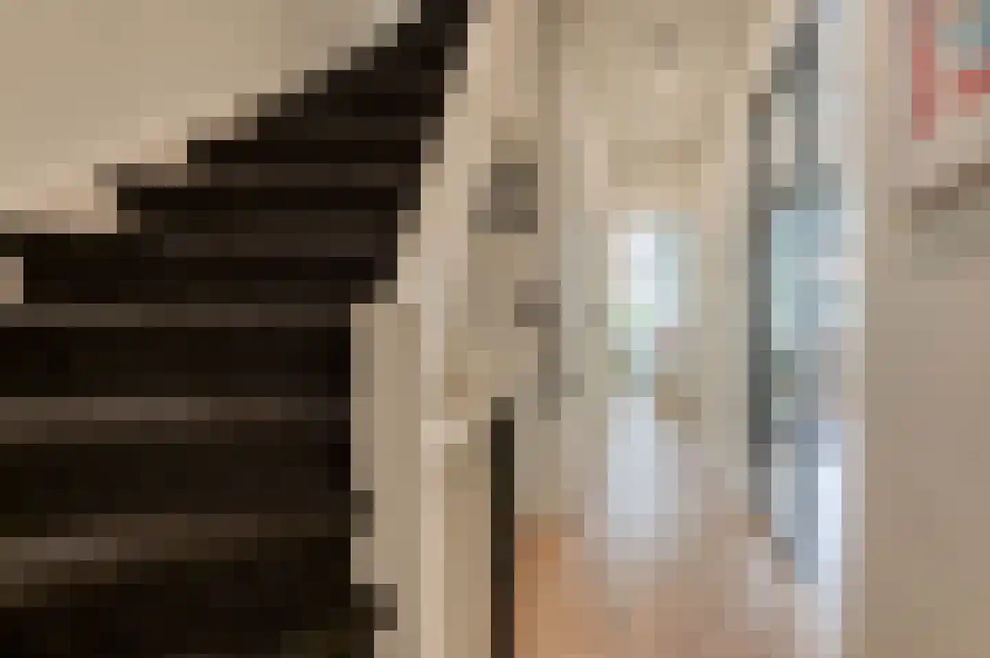 1e Braamstraat 11 Den Haag thumbnail 9