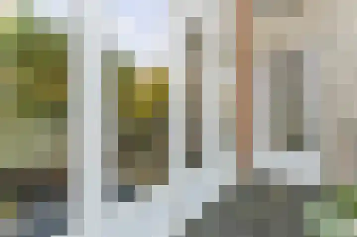 1e Braamstraat 15 A Den Haag thumbnail 7