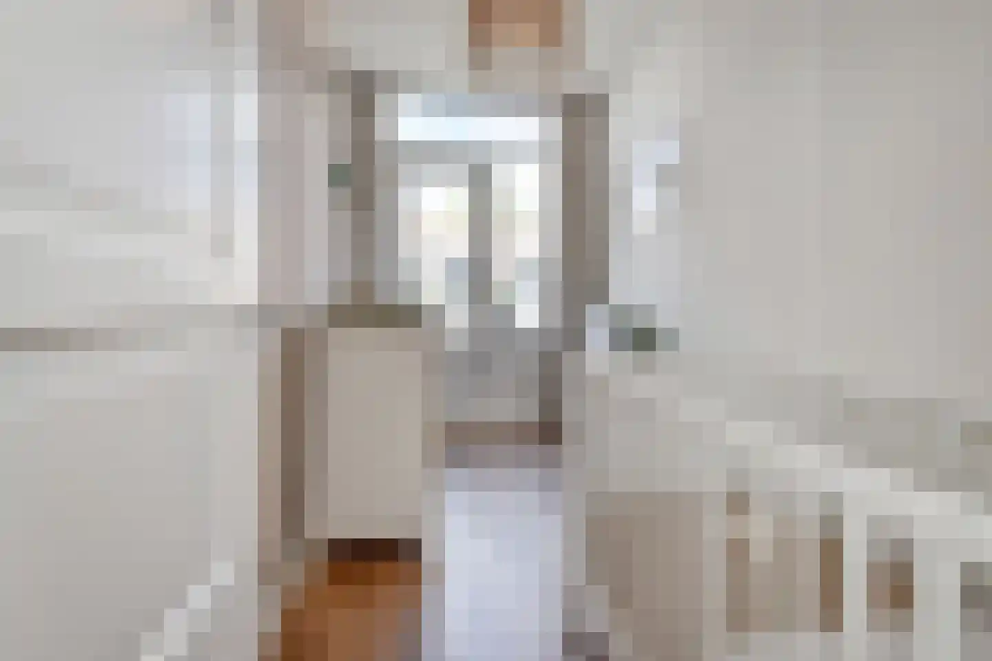 1e Braamstraat 37 Den Haag thumbnail 35