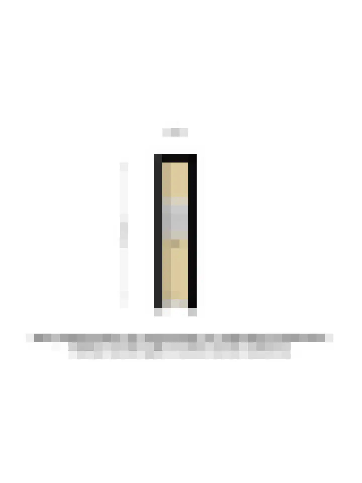 1e Braamstraat 37 Den Haag thumbnail 48