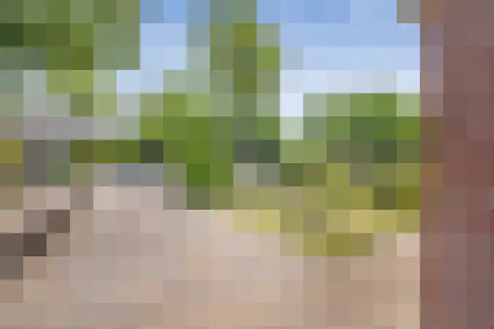 1e Brandenburgerweg 101 Bilthoven thumbnail 4