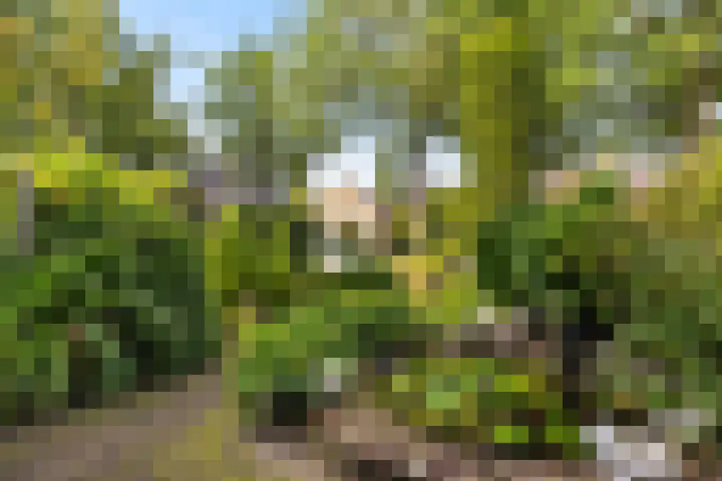 1e Brandenburgerweg 118 Bilthoven thumbnail 29