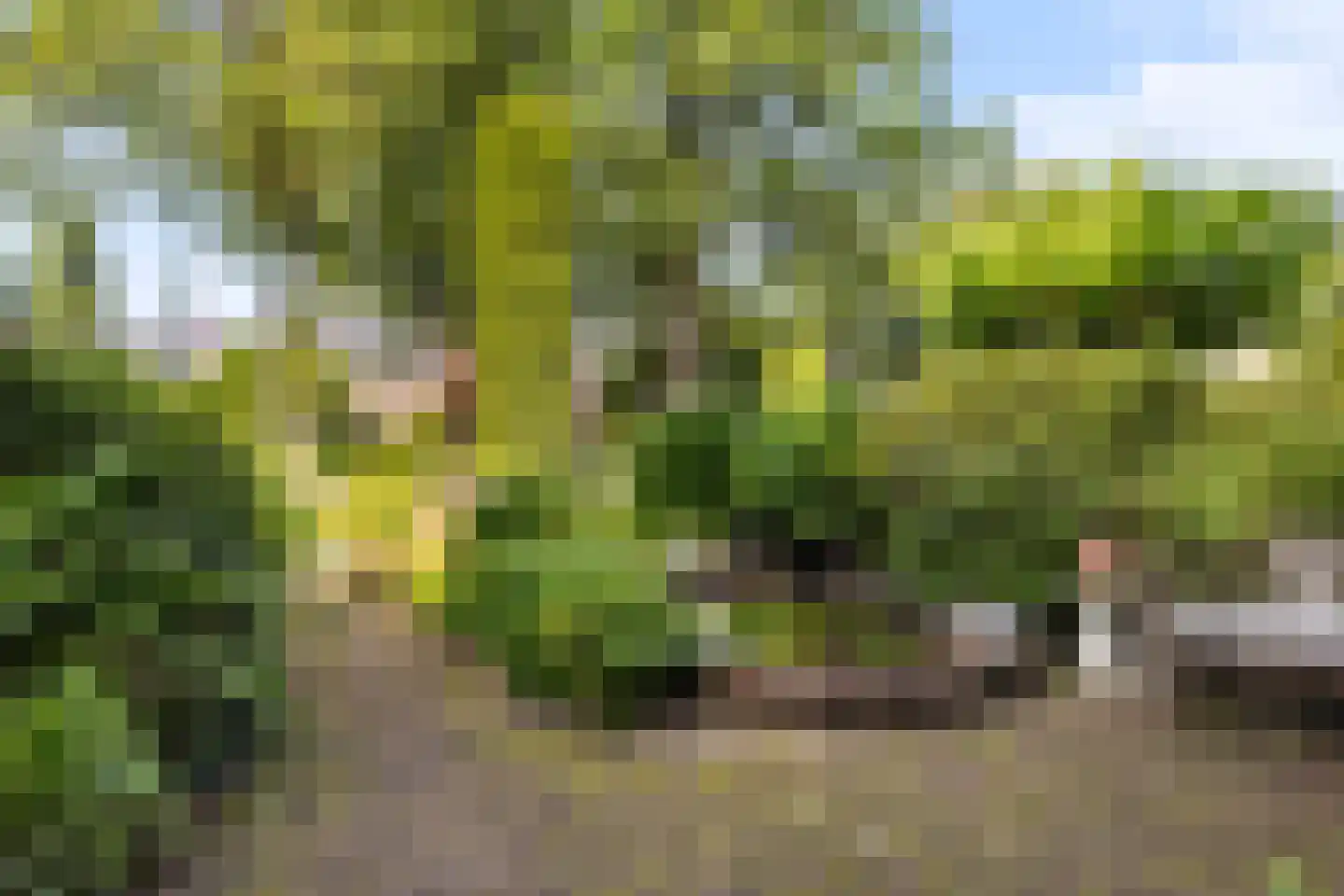 1e Brandenburgerweg 118 Bilthoven thumbnail 5