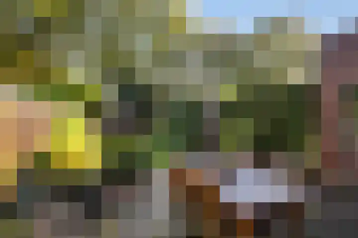 1e Brandenburgerweg 126 Bilthoven thumbnail 4