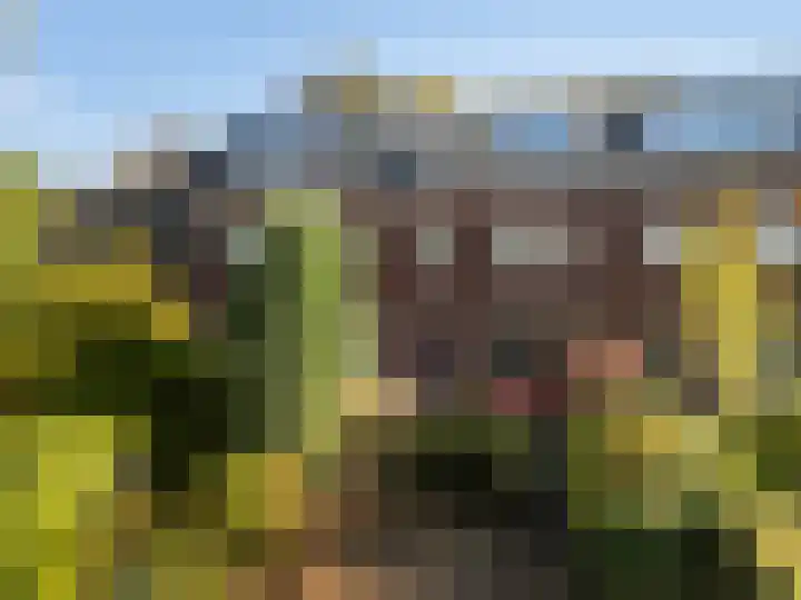 1e Brandenburgerweg 126 Bilthoven thumbnail 41