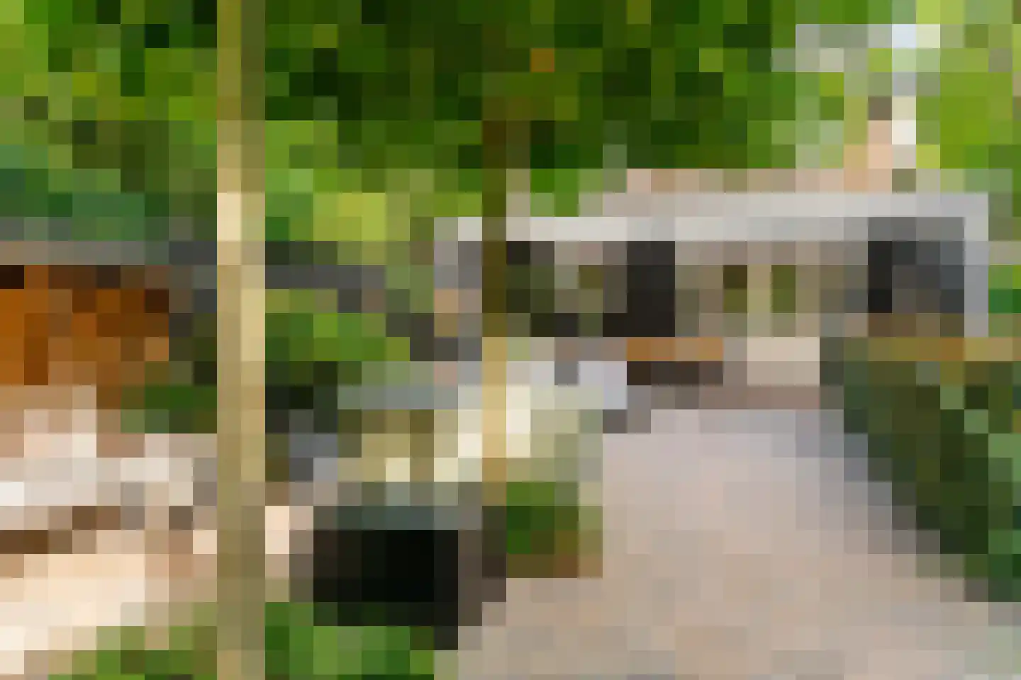 1e Brandenburgerweg 131 Bilthoven thumbnail 36