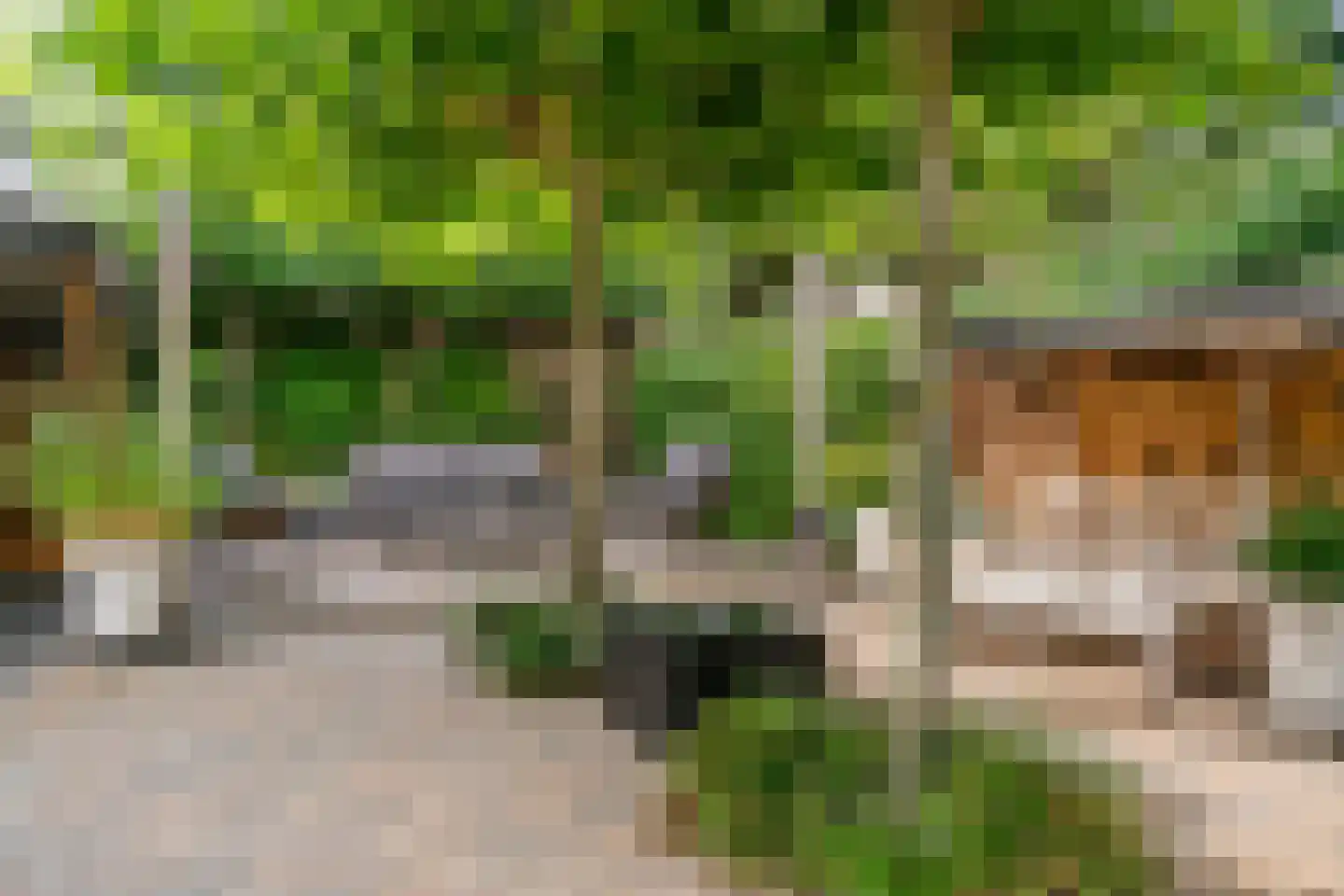 1e Brandenburgerweg 131 Bilthoven thumbnail 39