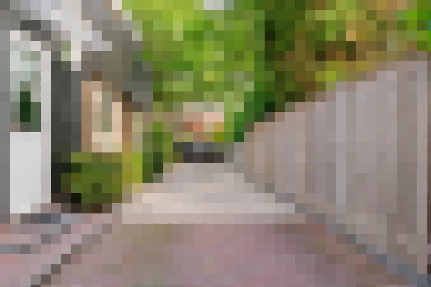 1e Brandenburgerweg 131 Bilthoven thumbnail 47