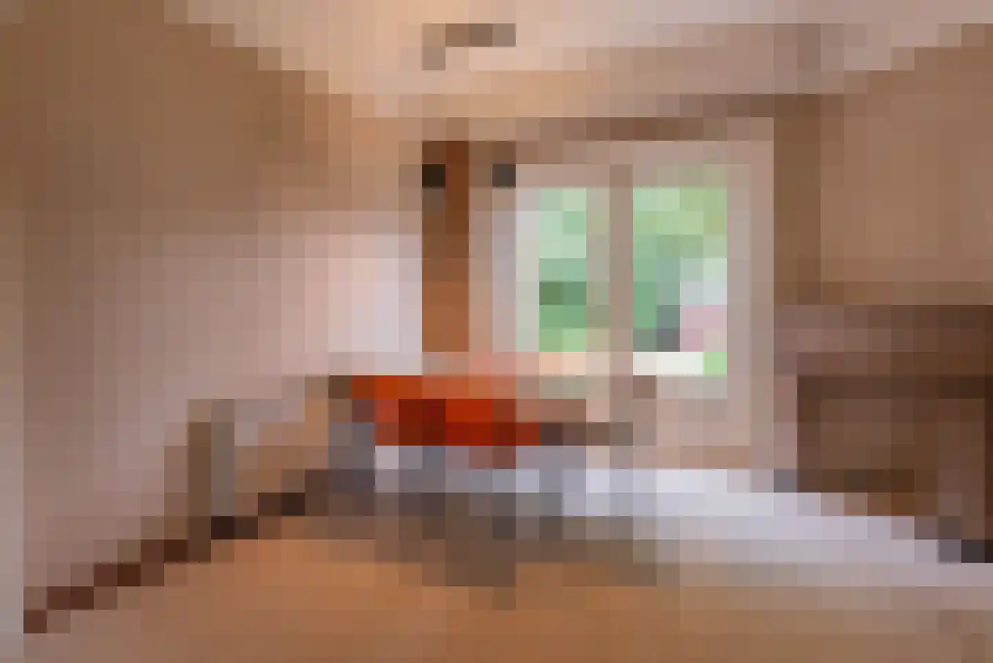 1e Brandenburgerweg 16 Bilthoven thumbnail 22