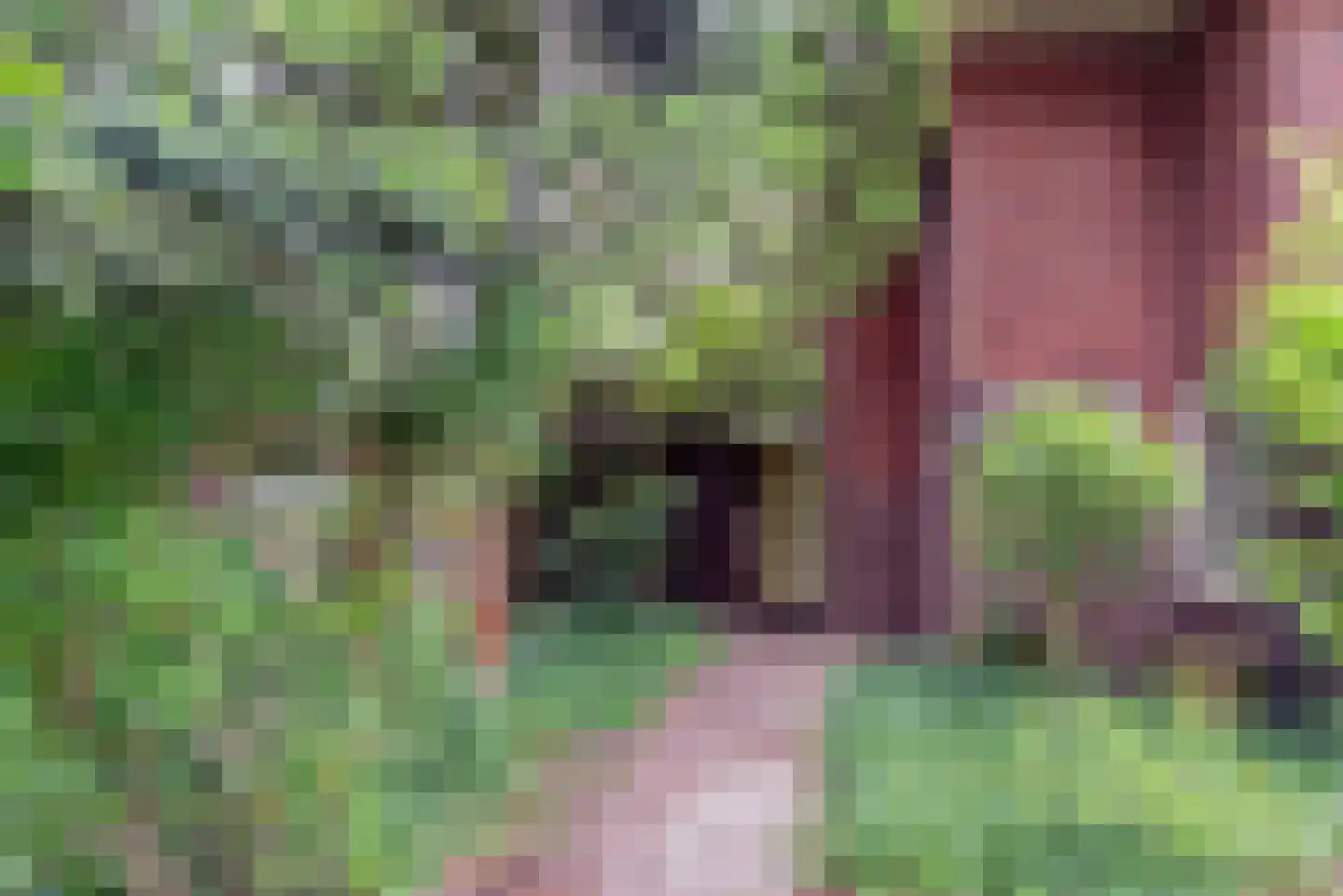 1e Brandenburgerweg 16 Bilthoven thumbnail 4