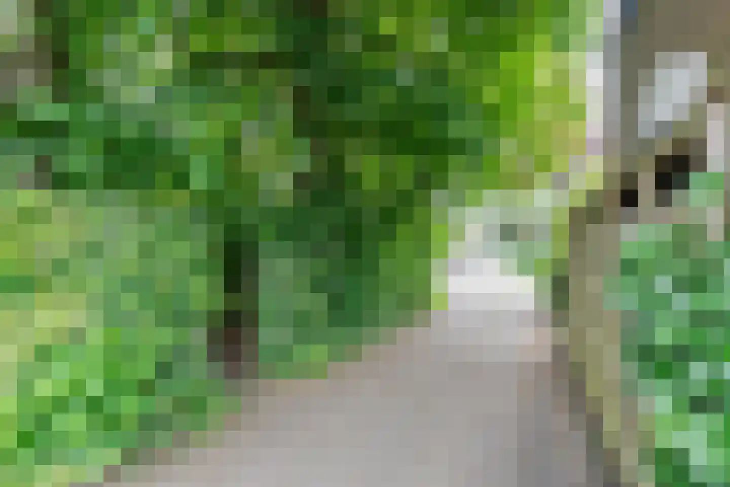 1e Brandenburgerweg 16 Bilthoven thumbnail 45