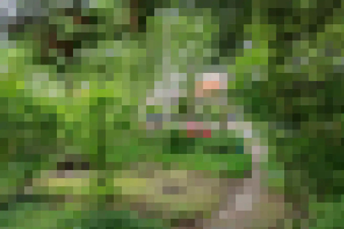1e Brandenburgerweg 16 Bilthoven thumbnail 5