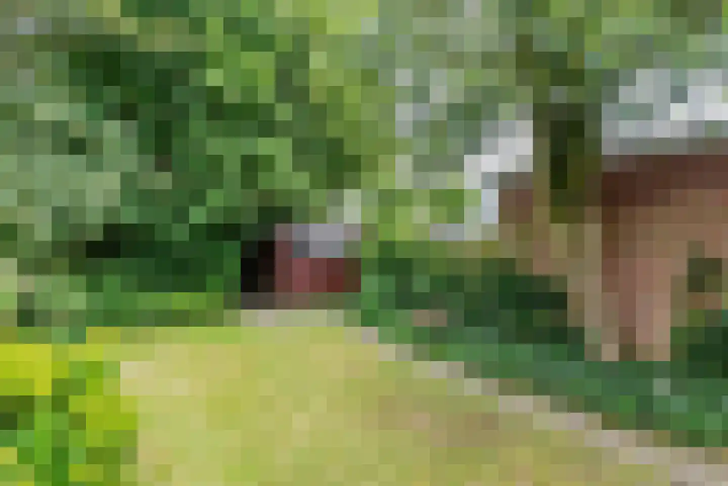 1e Brandenburgerweg 16 Bilthoven thumbnail 7