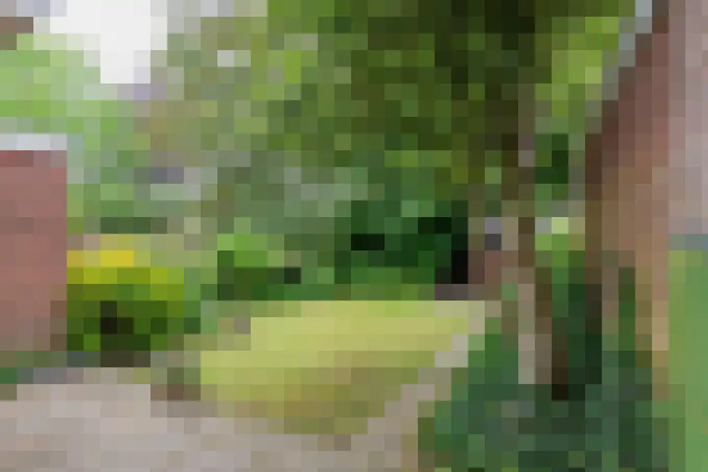 1e Brandenburgerweg 16 Bilthoven thumbnail 8