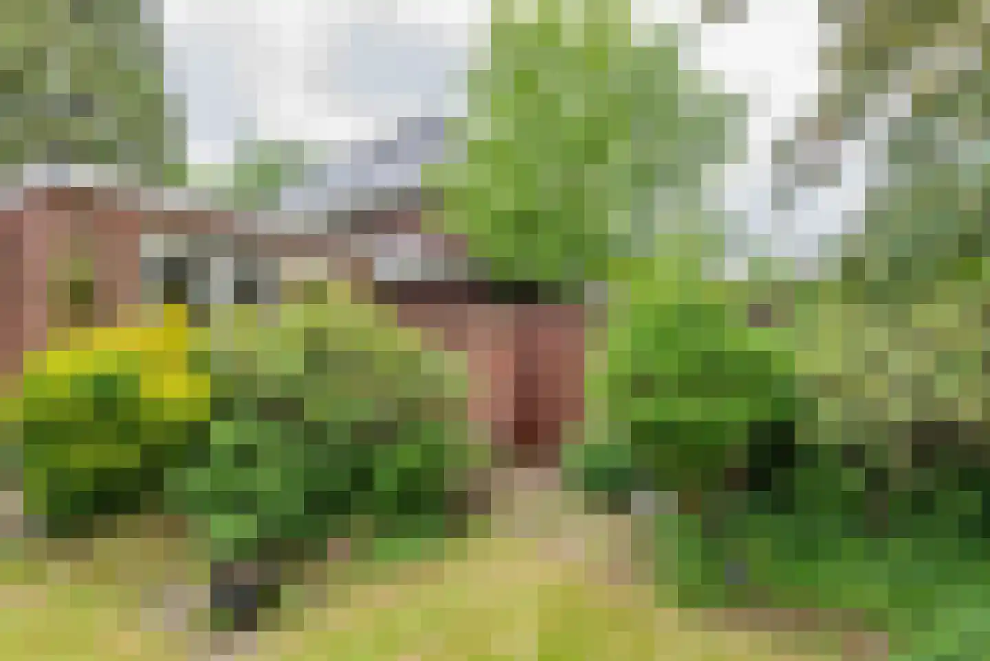 1e Brandenburgerweg 16 Bilthoven thumbnail 9