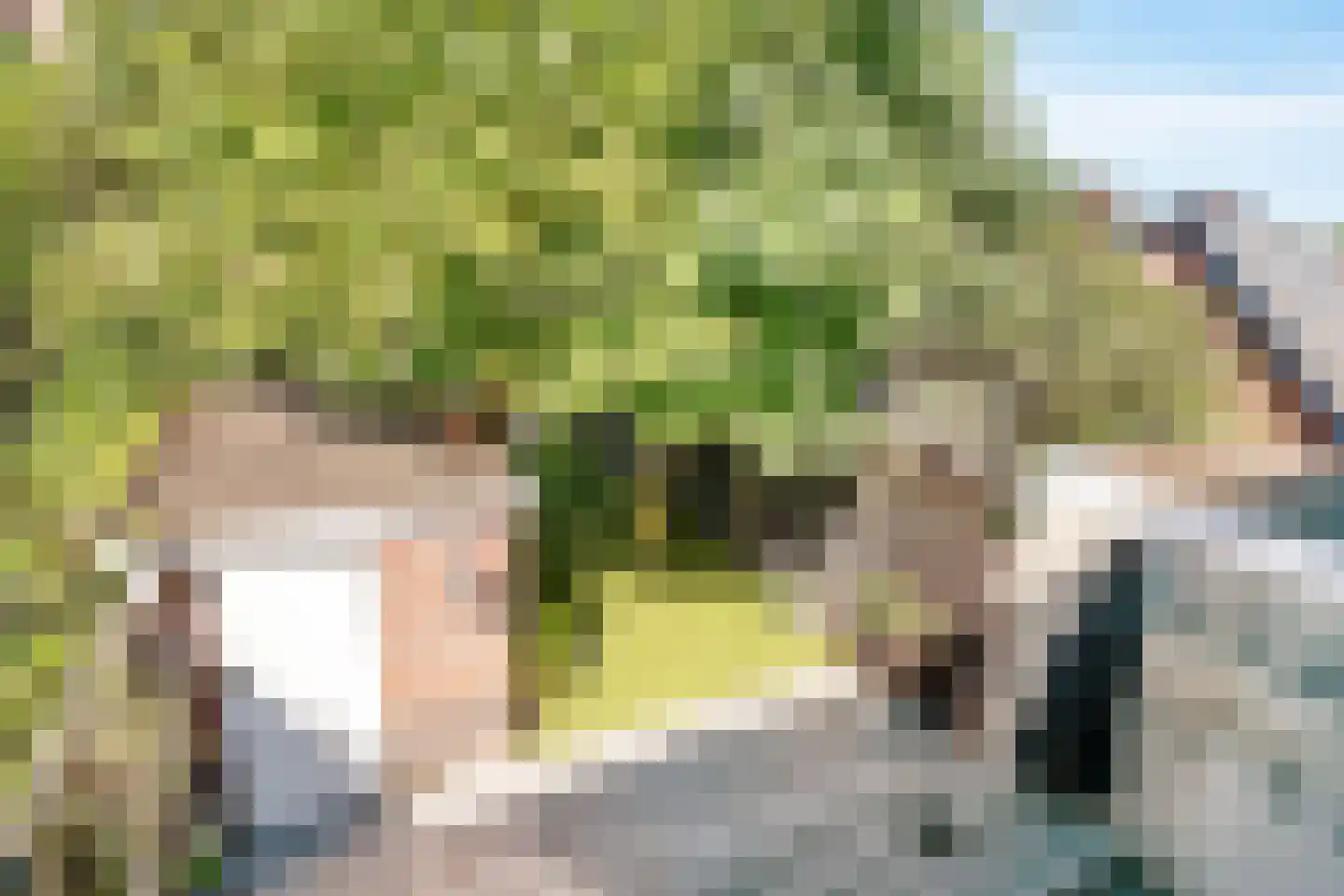 1e Brandenburgerweg 167 Bilthoven thumbnail 20