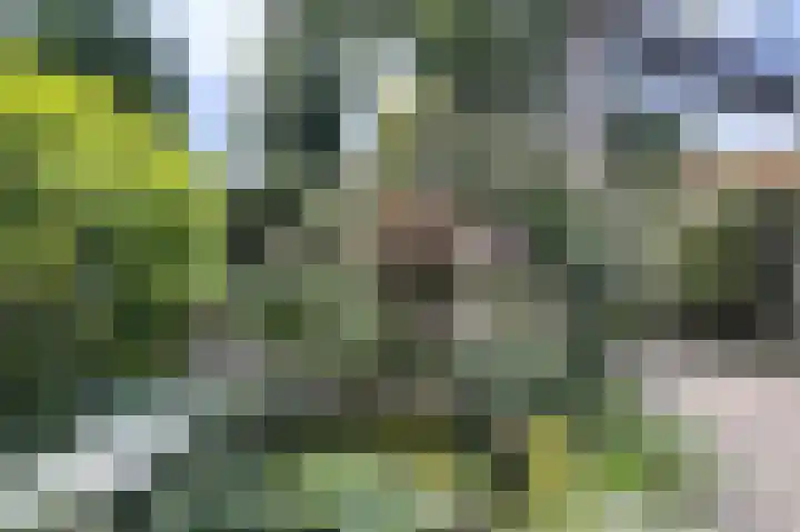 1e Brandenburgerweg 79 Bilthoven thumbnail 8