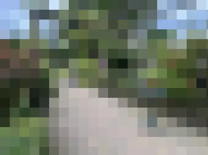 1e Brandenburgerweg 79 Bilthoven thumbnail 9