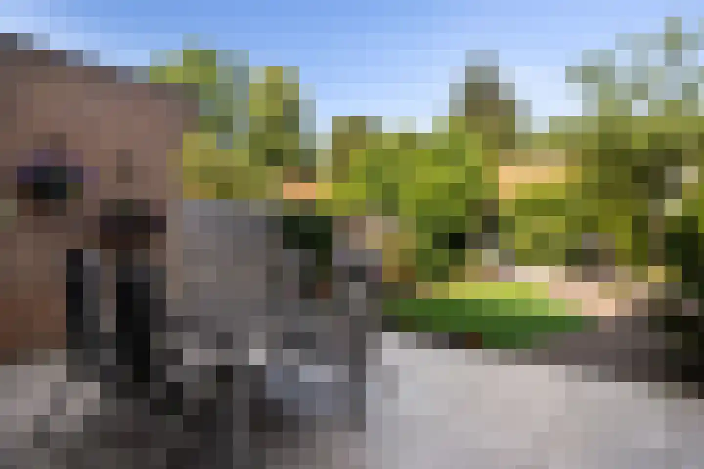 1e Brandenburgerweg 89 Bilthoven thumbnail 40