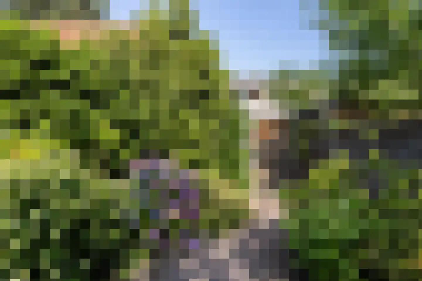 1e Brandenburgerweg 89 Bilthoven thumbnail 43