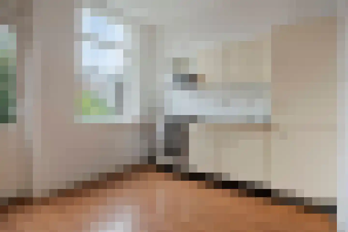 1e Carnissestraat 6 D Rotterdam thumbnail 5