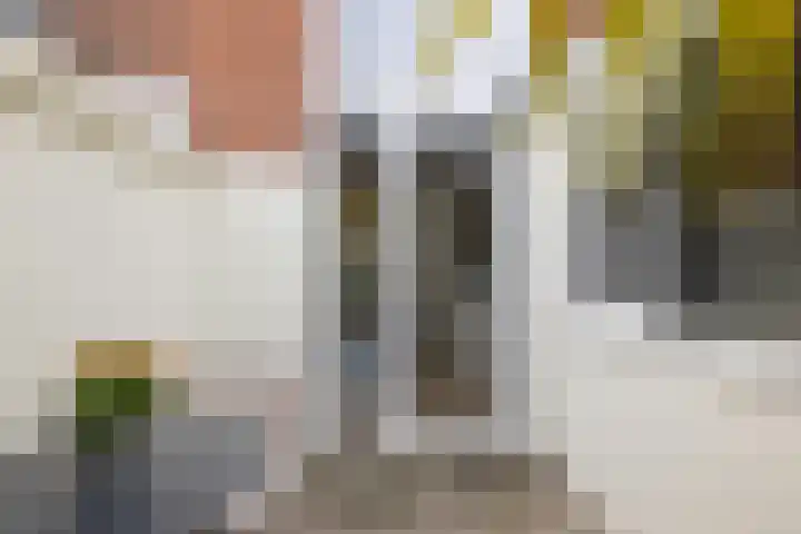 1e Daalsedijk 123 Utrecht thumbnail 28