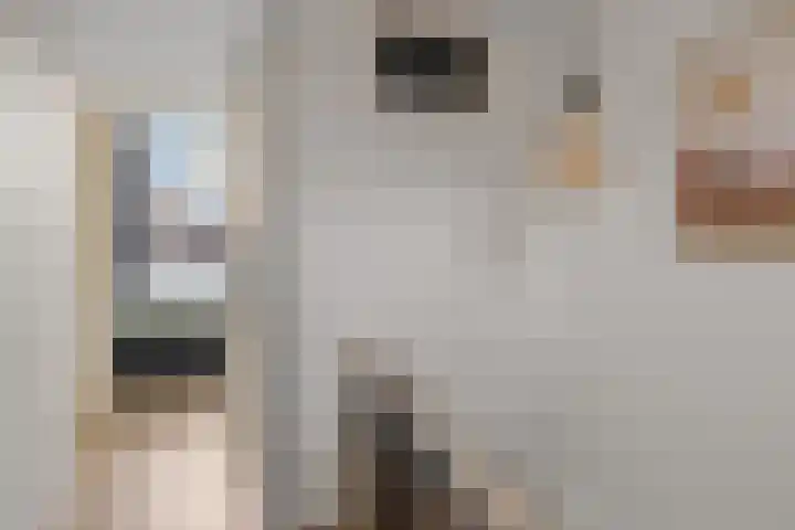 1e Daalsedijk 123 Utrecht thumbnail 31