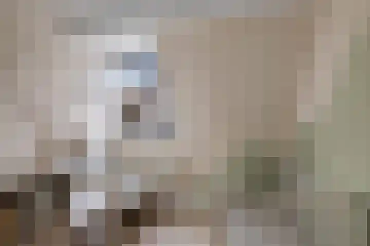 1e Daalsedijk 123 Utrecht thumbnail 38