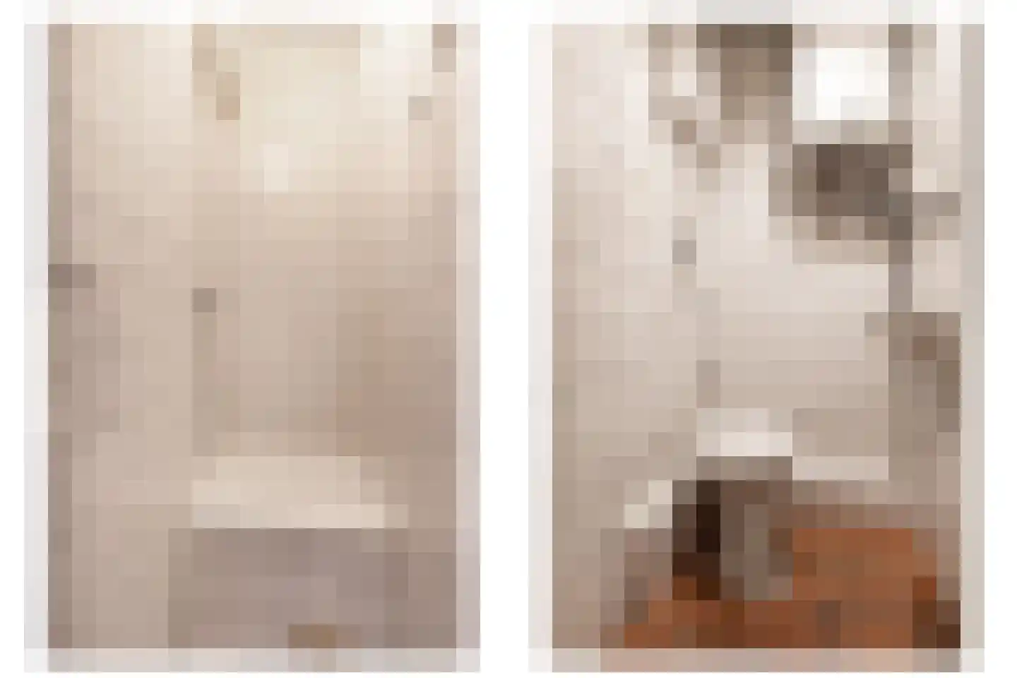1e Daalsedijk 153 Utrecht thumbnail 15