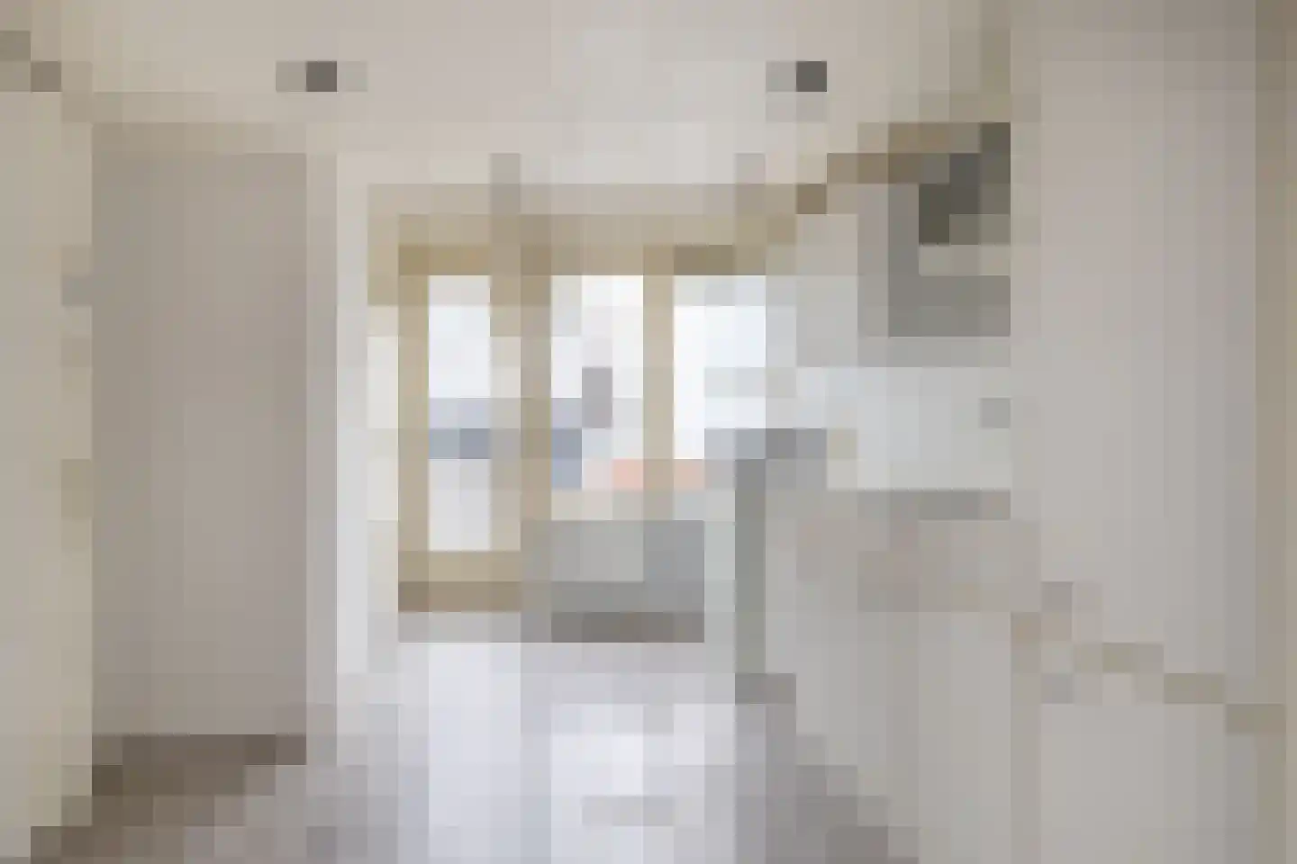 1e Daalsedijk 153 Utrecht thumbnail 22