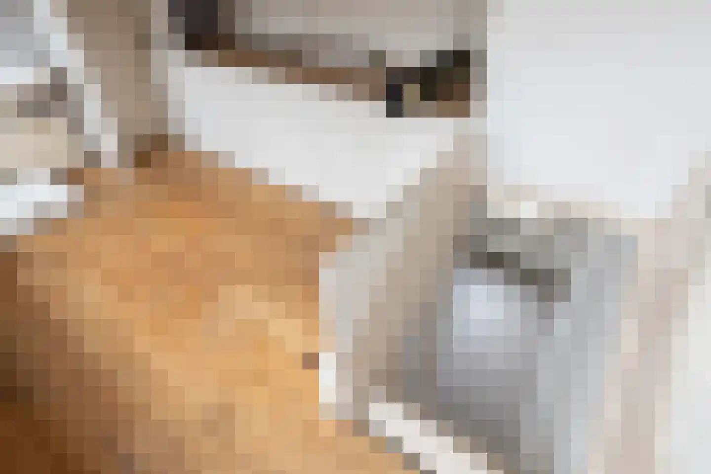 1e Daalsedijk 153 Utrecht thumbnail 24