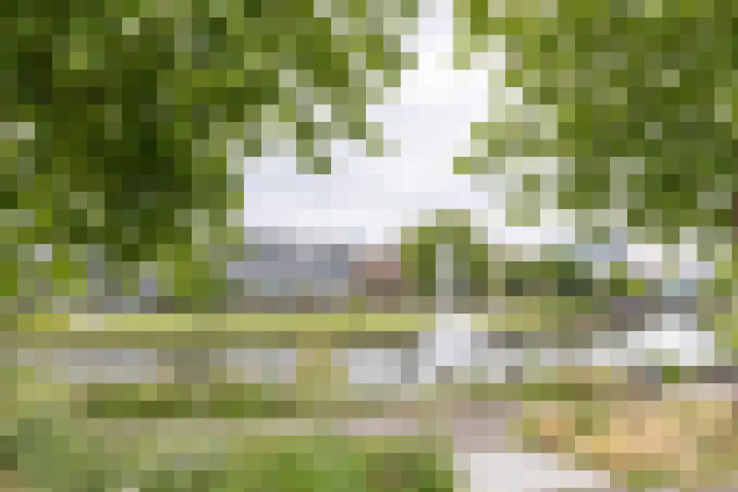 1e Daalsedijk 153 Utrecht thumbnail 32