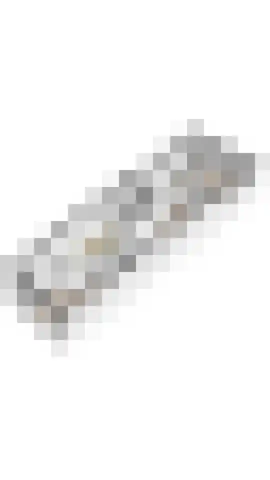 1e Daalsedijk 153 Utrecht thumbnail 34