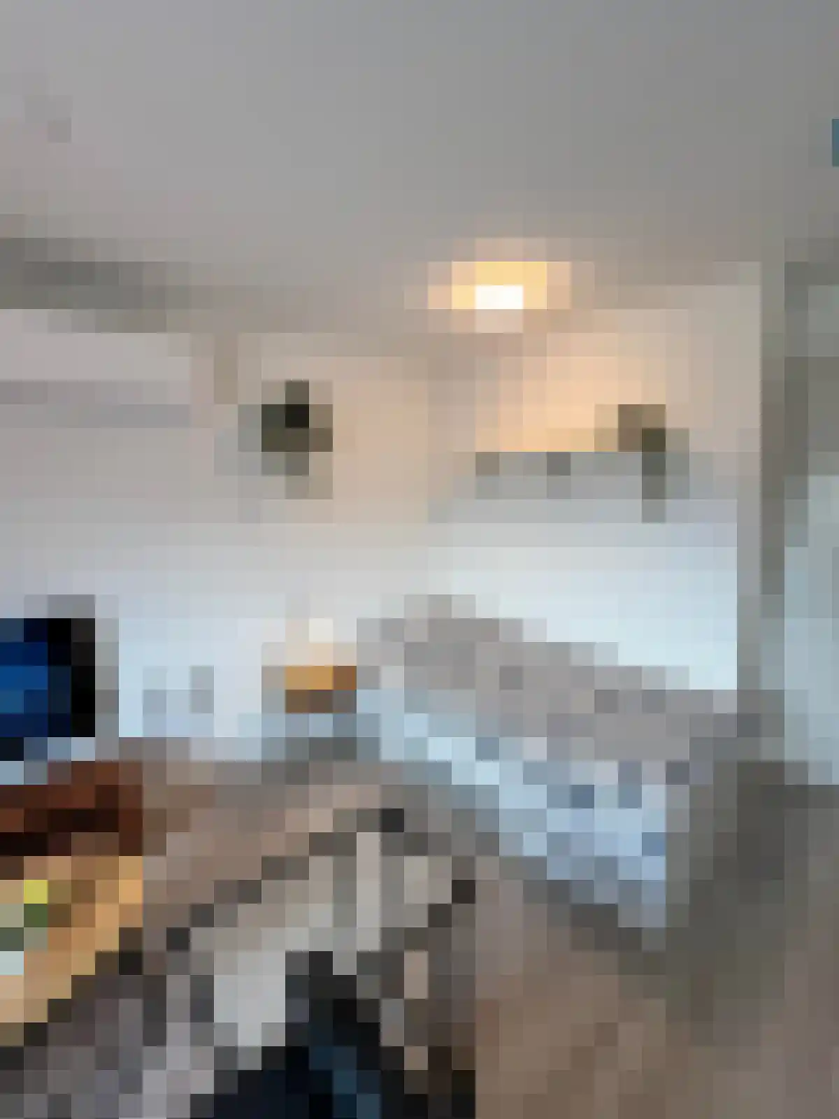 1e Daalsedijk 179 Utrecht thumbnail 5