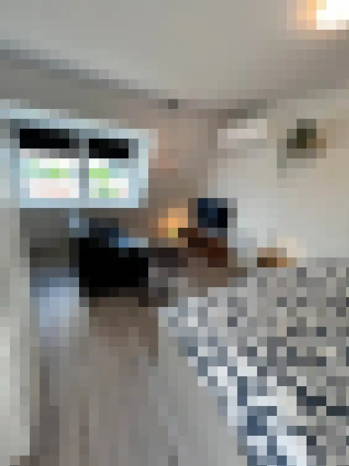 1e Daalsedijk 179 Utrecht thumbnail 6