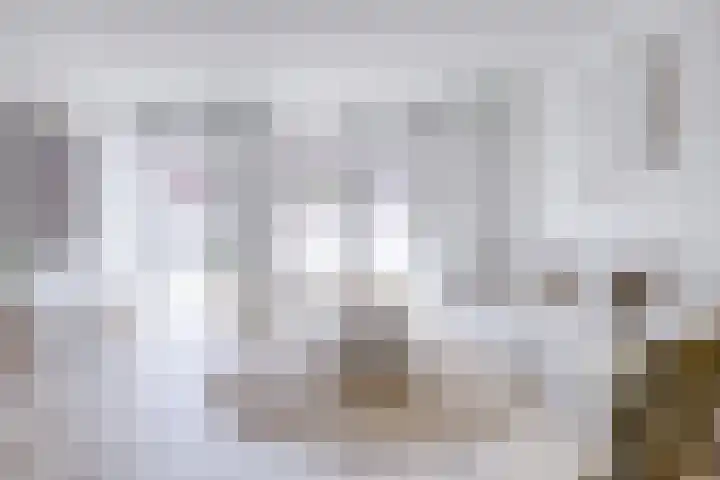 1e Daalsedijk 184 Utrecht thumbnail 13