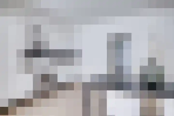 1e Daalsedijk 184 Utrecht thumbnail 14
