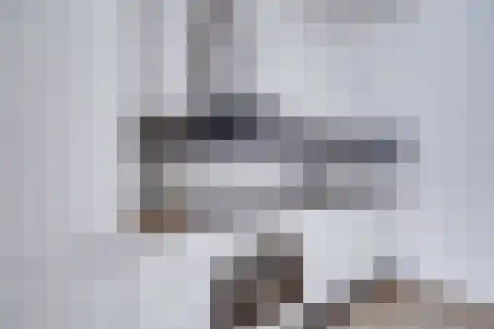 1e Daalsedijk 184 Utrecht thumbnail 15