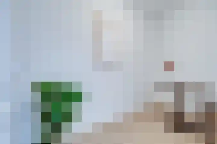 1e Daalsedijk 184 Utrecht thumbnail 21