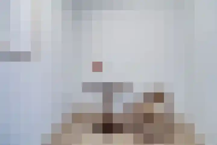 1e Daalsedijk 184 Utrecht thumbnail 22
