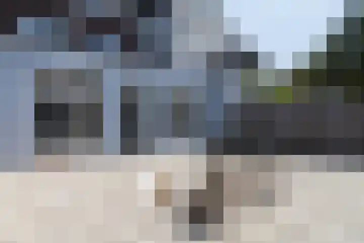 1e Daalsedijk 184 Utrecht thumbnail 28